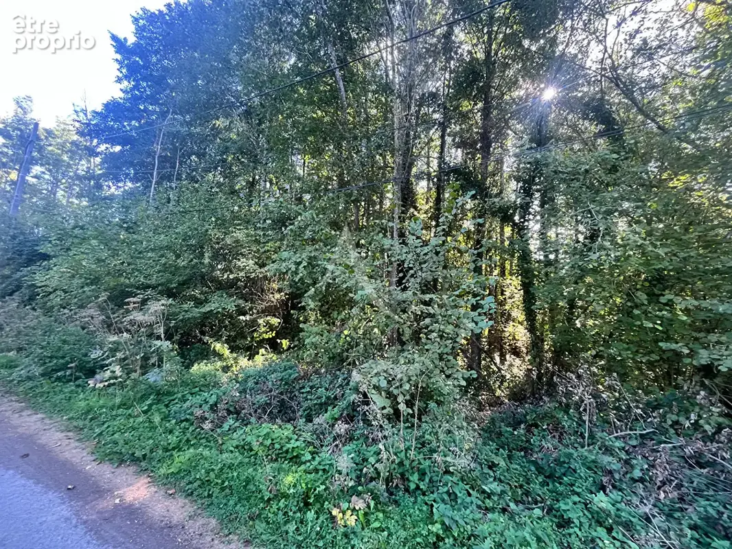 Saint martin de brethencourt - terrain a batir - photo 2