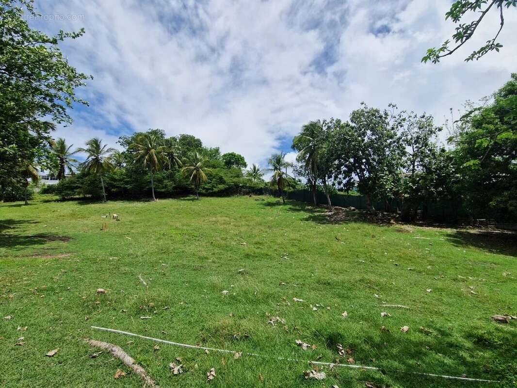 Terrain à LE GOSIER