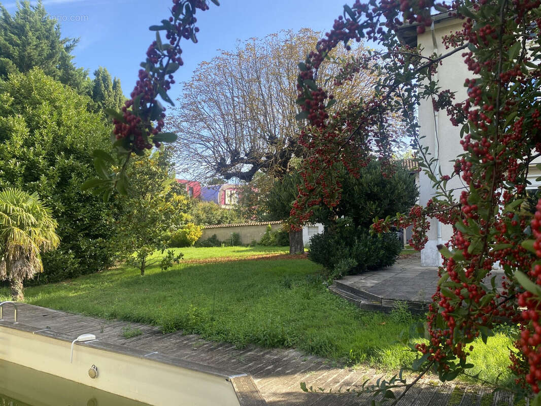 Maison à NEUVILLE-SUR-SAONE