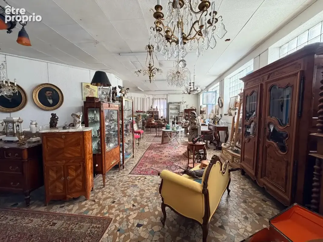 Commerce 1 899 m² à vendre à Villeurbanne (69100) - photo 8