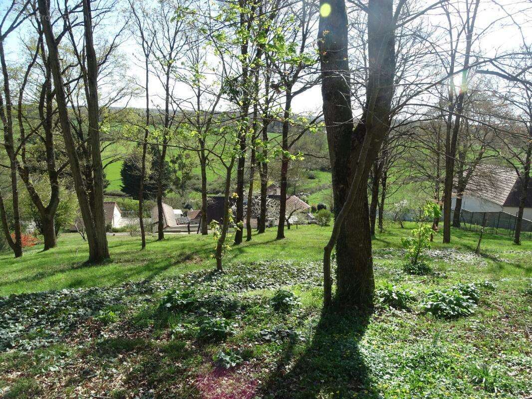 Maison individuelle sur grand terrain, 4 pièces, 88m², 2 chambres - photo 3