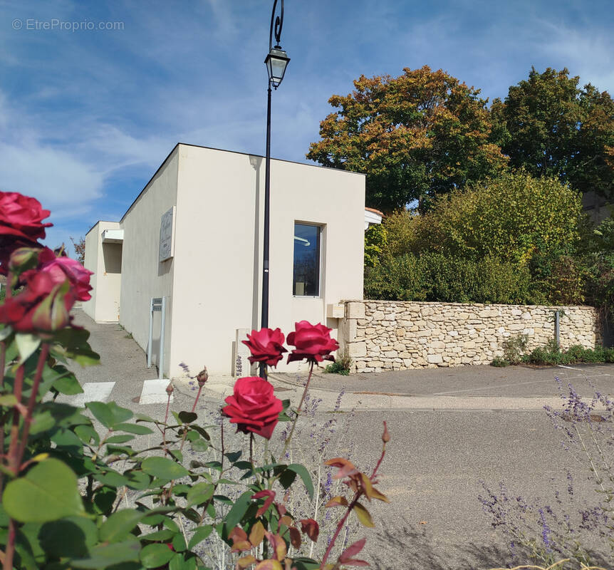 Commerce à PELLEGRUE