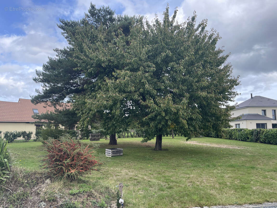 Maison à PONT-L&#039;EVEQUE