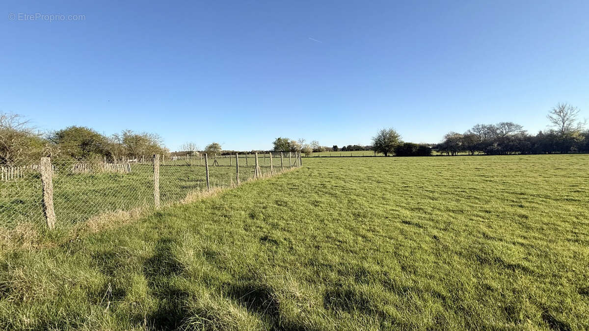 Maison à JOUE-LES-TOURS