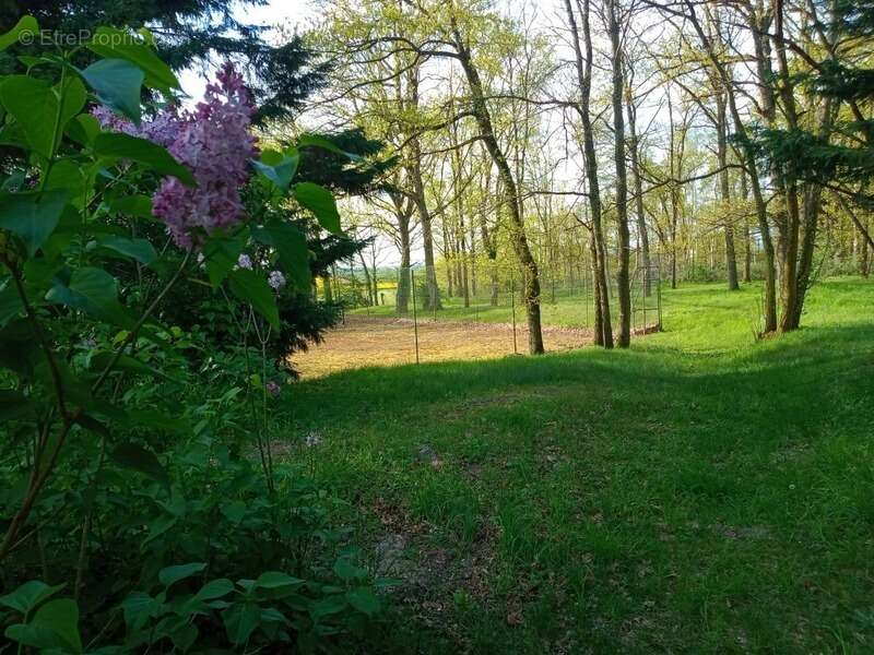 Maison à MONT-NOTRE-DAME