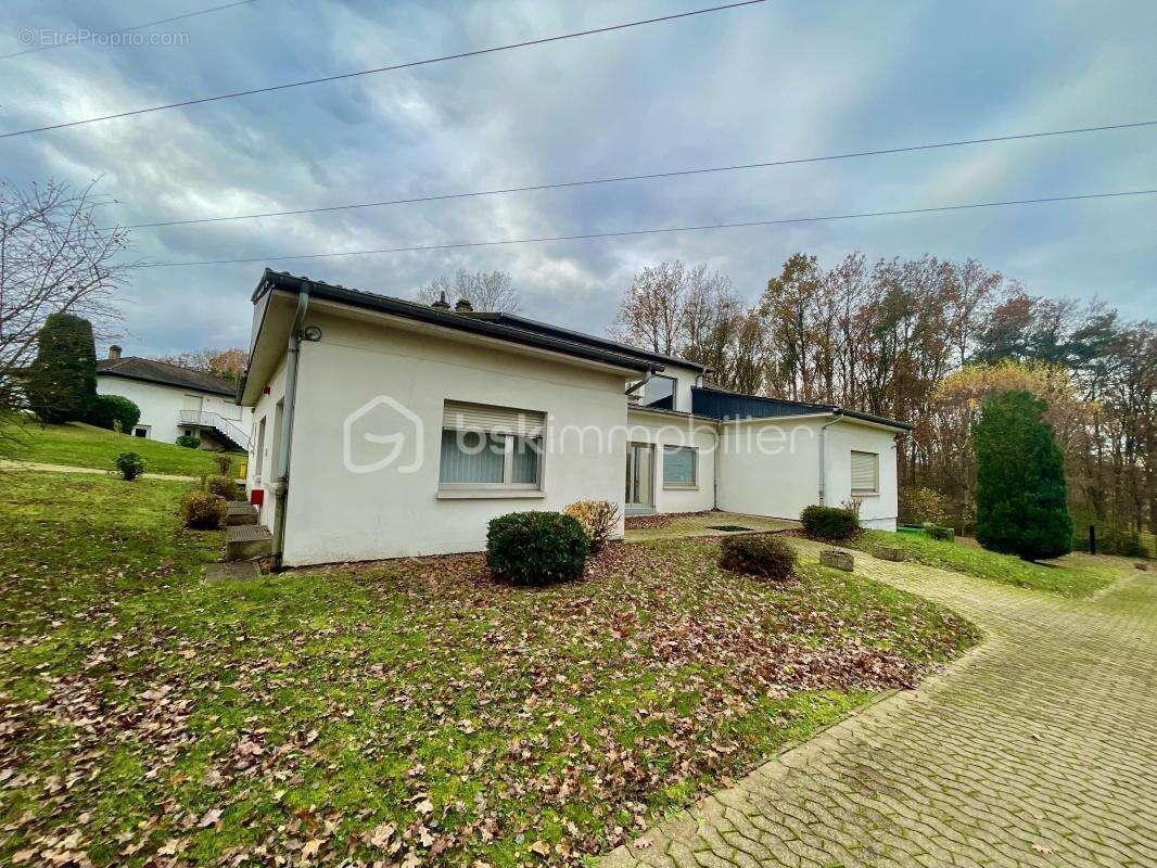 Commerce à CREUTZWALD