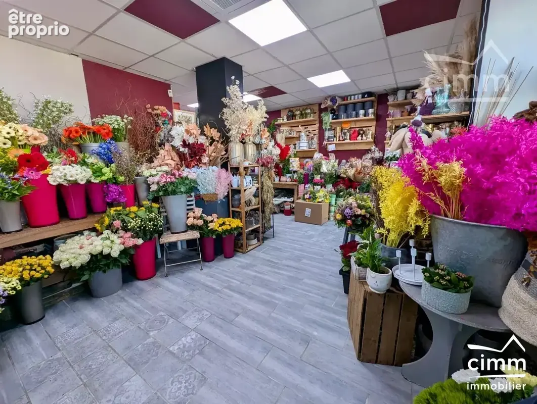 Fonds de commerce – fleuriste – saint-pierre-en-faucigny - photo 6