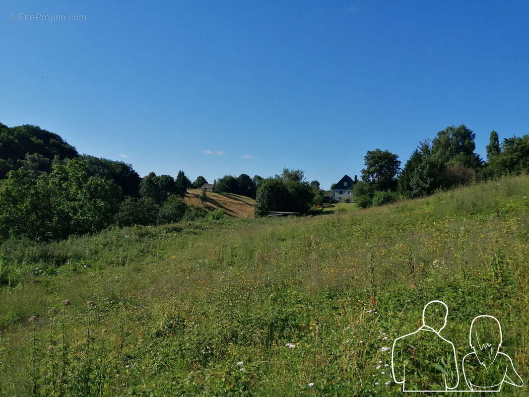 Terrain à SAINT-SYMPHORIEN
