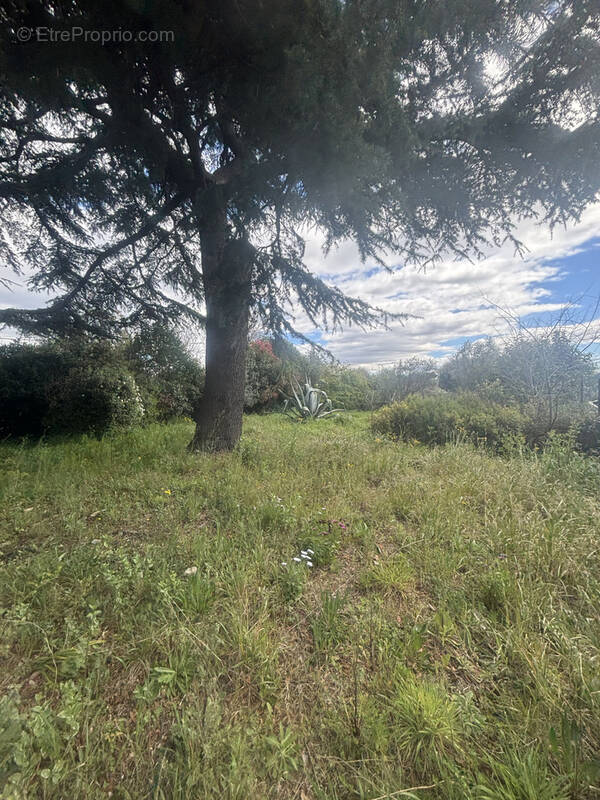 Terrain à MONTPEZAT
