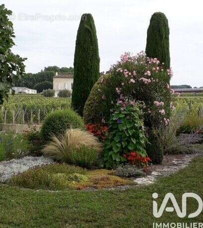 Photo 4 - Maison à LIBOURNE