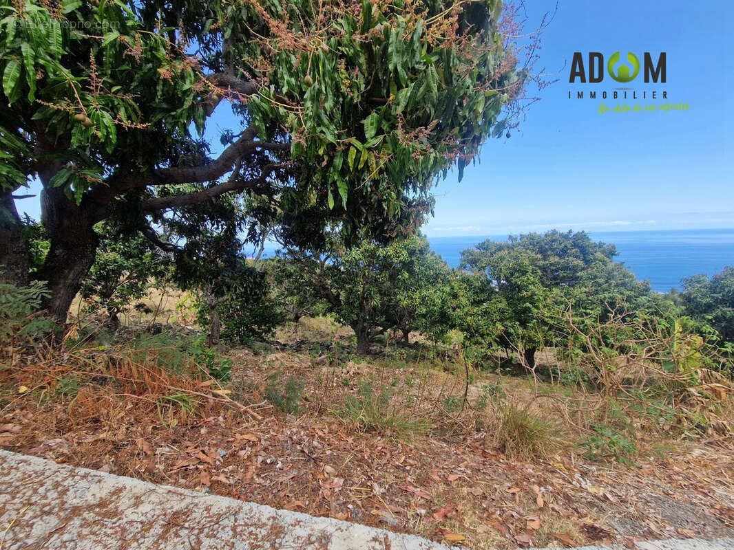 Terrain à SAINT-LEU