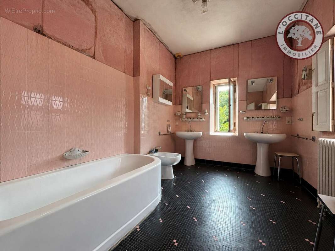 L'Isle-en-Dodon - Maison de maître à rénover avec vaste jardin et dépendances - photo 10