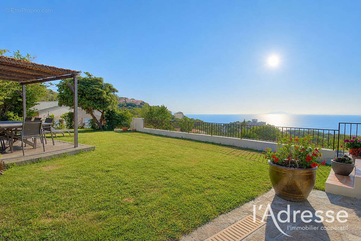 Maison BASTIA MONSERATO 6 pièces 180 m2 piscine studio indépendant - photo 4