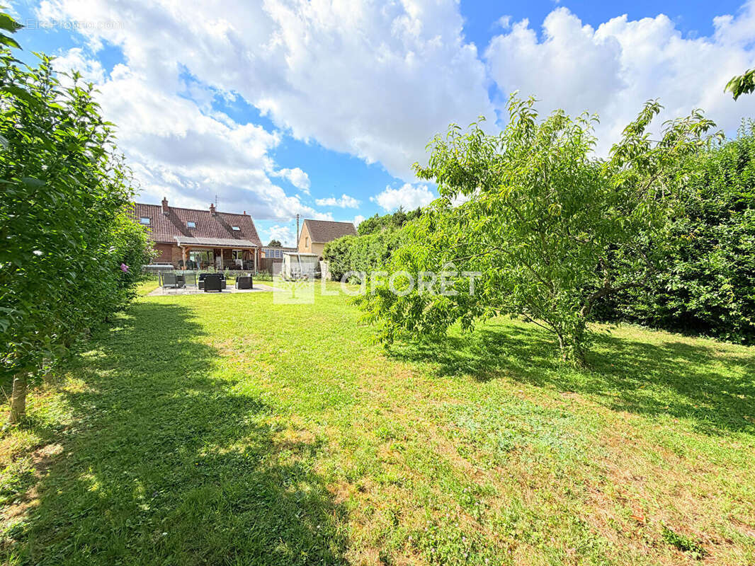 Maison à LAMBRES-LEZ-DOUAI