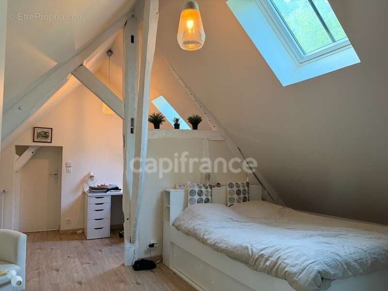 Maison à vendre 9 pièces GY L'EVEQUE (89) Propriété de caractère de 185 m2 4 chambres plus bureau   Terrain - photo 6