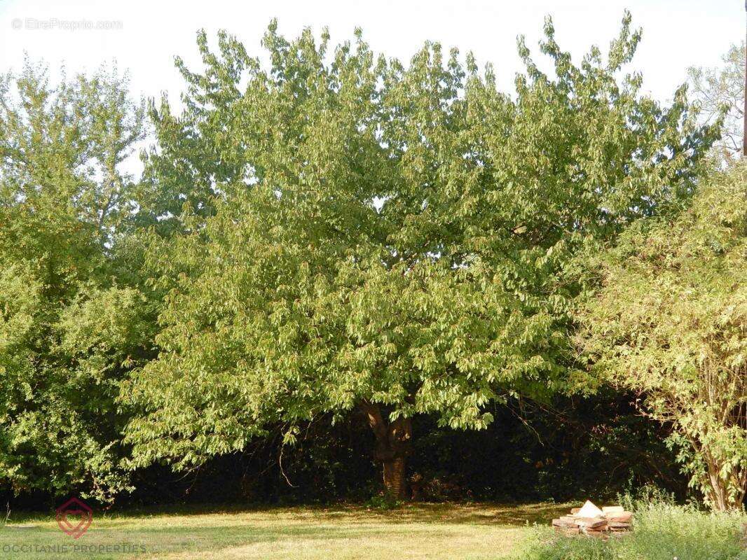Maison à VILLEFRANCHE-DE-LAURAGAIS