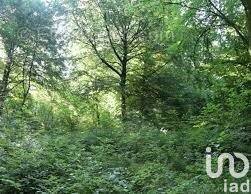 Photo 1 - Terrain à MAREIL-MARLY