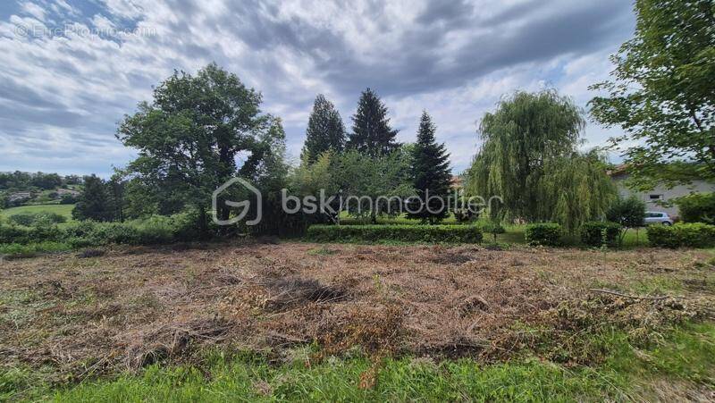 Terrain à THIERS