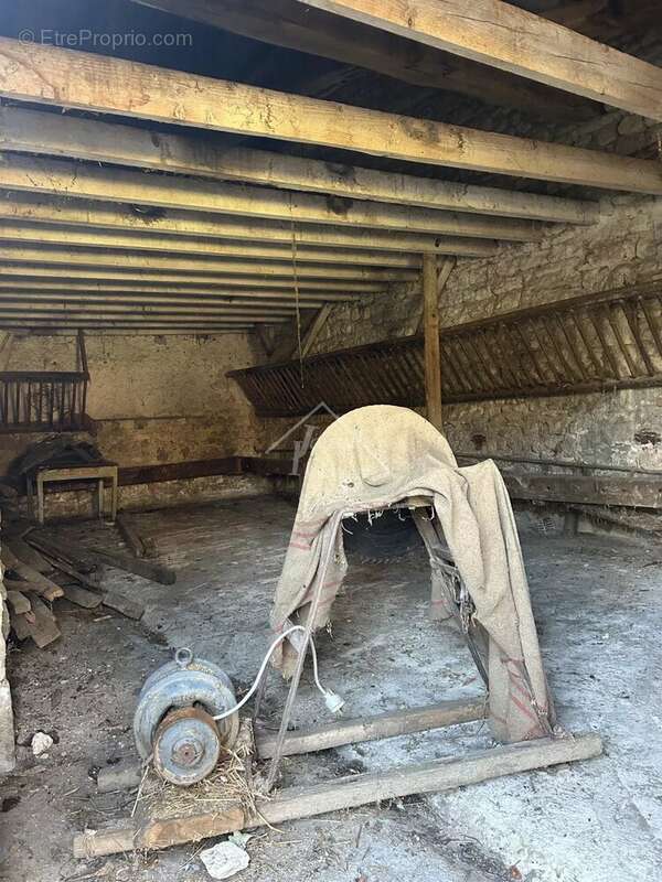 Commerce à BELLENAVES