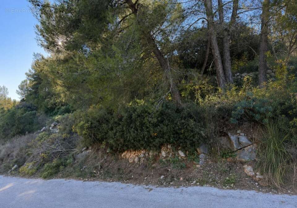 Terrain 204 m² à Le Luc  - photo 2