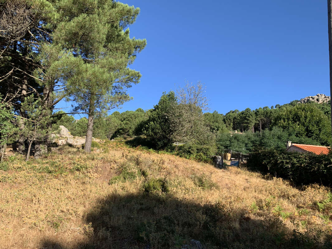 Terrain à bâtir à Cartalavone, commune de Porto-Vecchio - photo 13