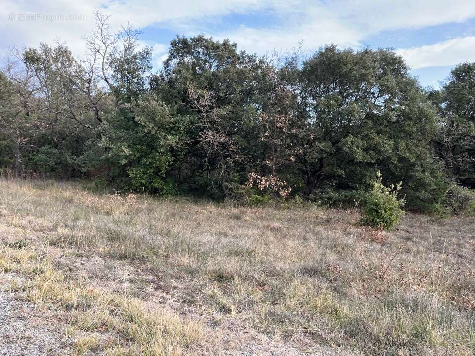 Terrain à GRIGNAN