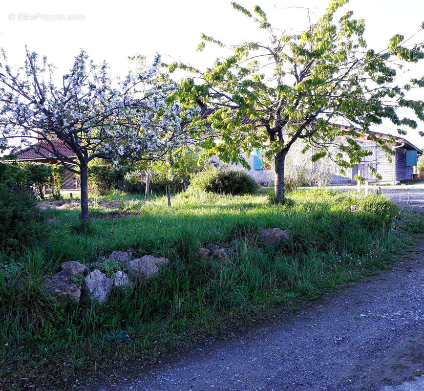 Propriété de 2.5ha avec Maison rénovée, dépendances, Vue Pyrénées - photo 40