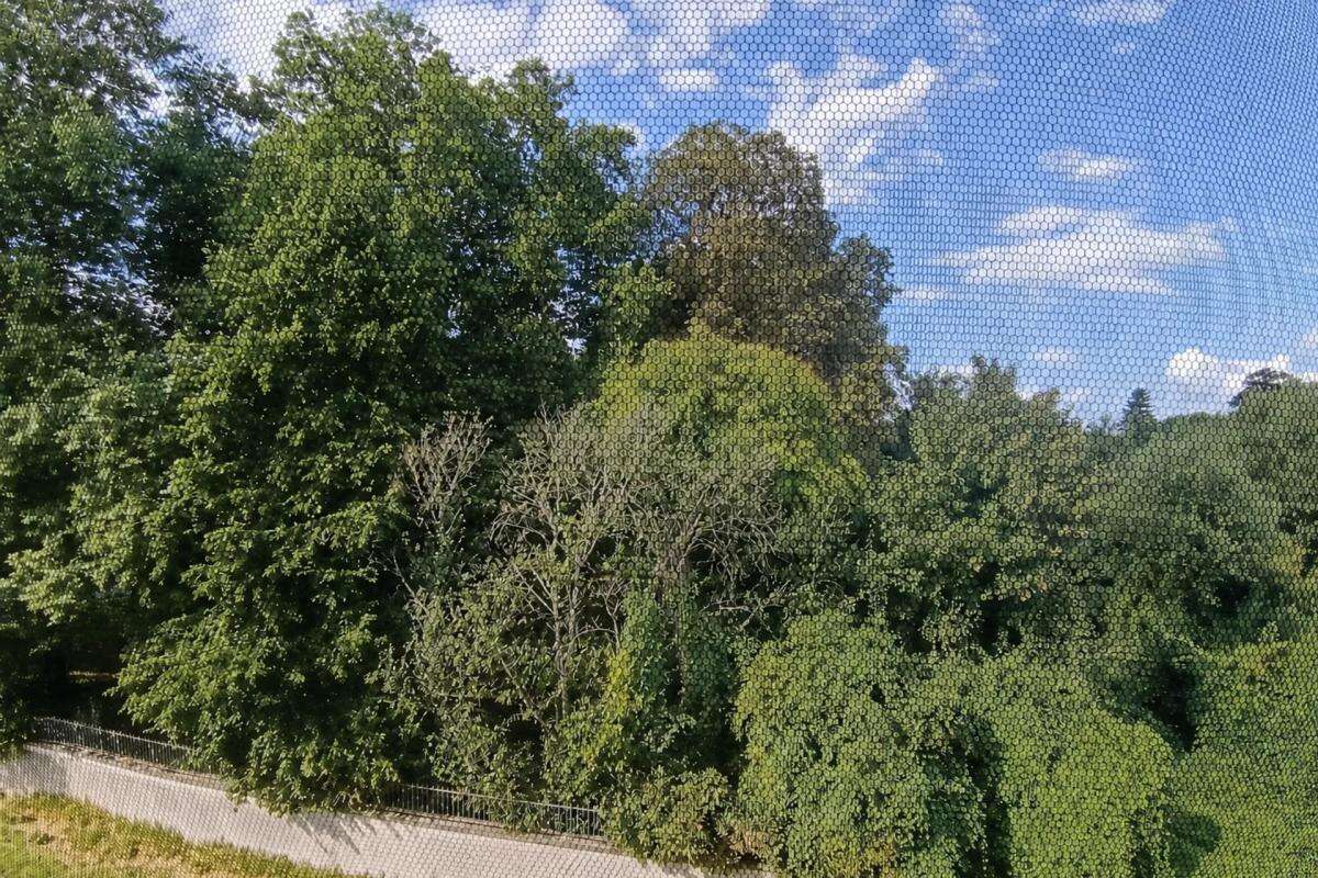 Bel appartement lumineux de 52 m² avec vue dégagée - photo 12