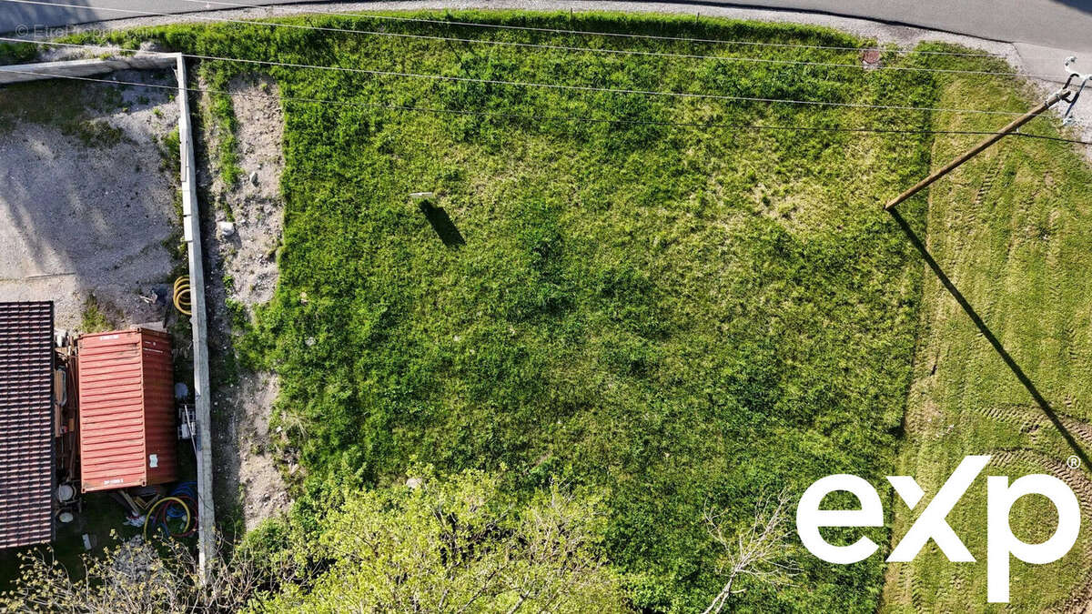 Terrain à THOLLON-LES-MEMISES