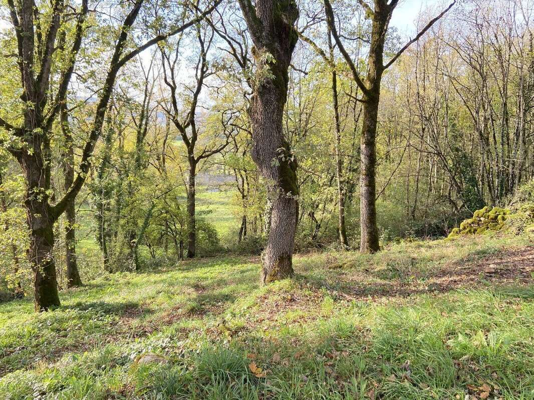 Rare, votre futur nid douillet face aux bois et au château : projet prêt à bâtir - photo 6