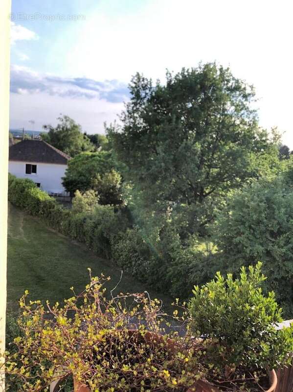 Photo 3 - Appartement à VIERZON