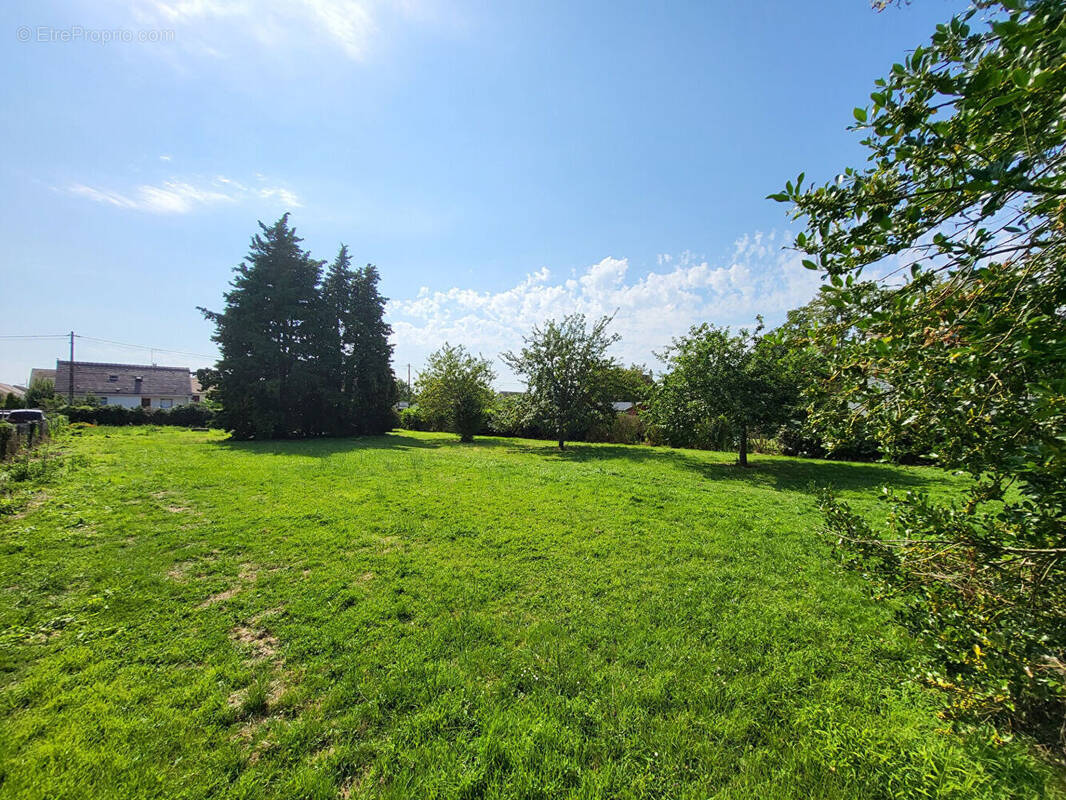 Terrain à GUIGNES