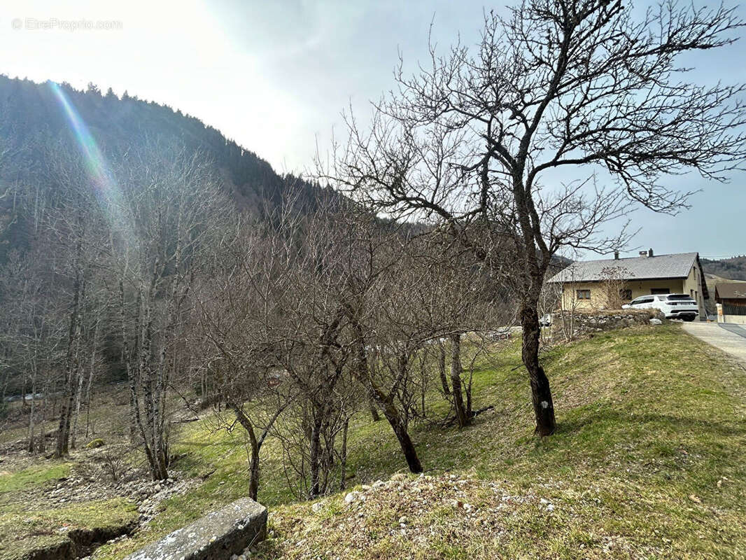 Terrain à BELLEVAUX