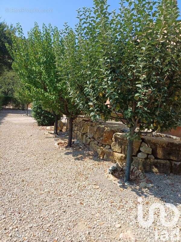 Photo 3 - Maison à LE LUC