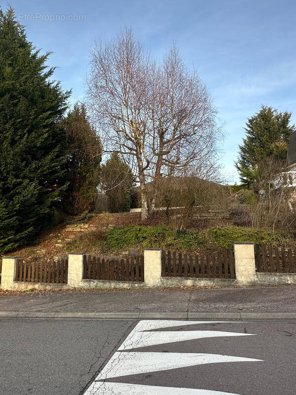 Terrain à SCHOENECK