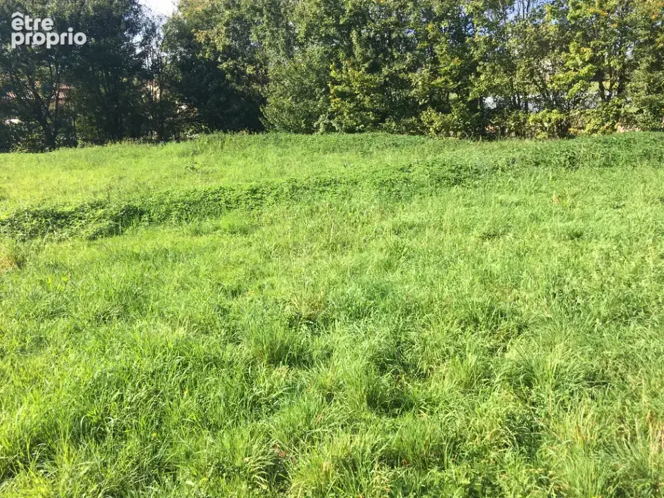 Terrain 580 m² à vendre à Saint-Cyr-Sur-Menthon (01380) - photo 2