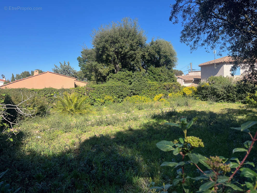 Terrain à FREJUS