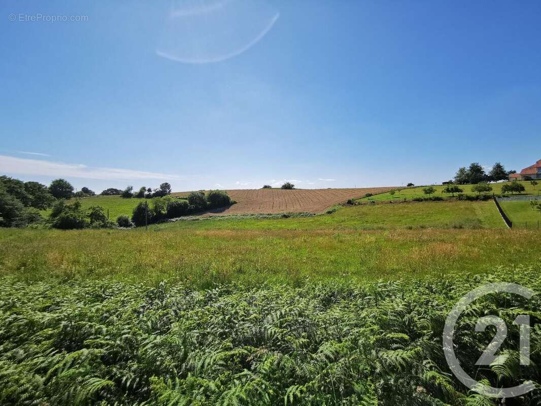 Terrain à LABEYRIE