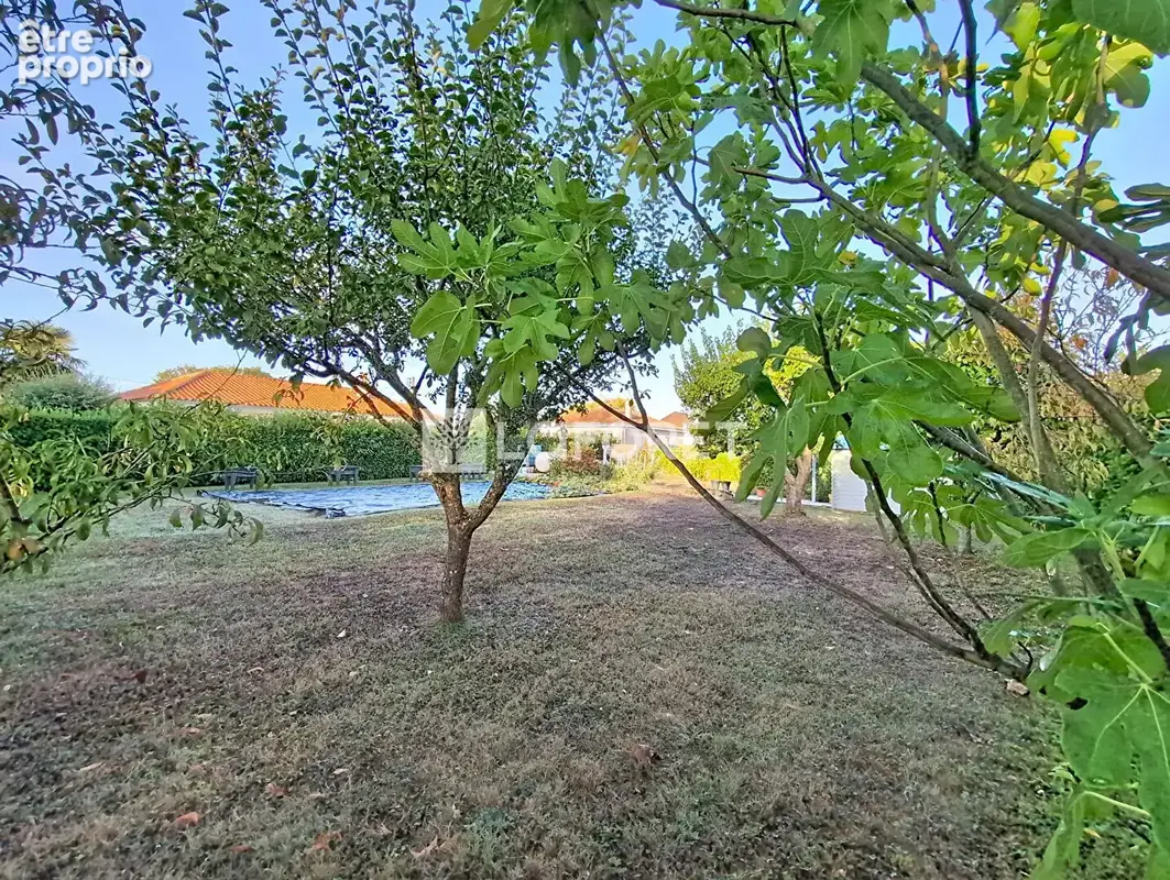 Photo Terrain à Chemille au prix de 39 000€