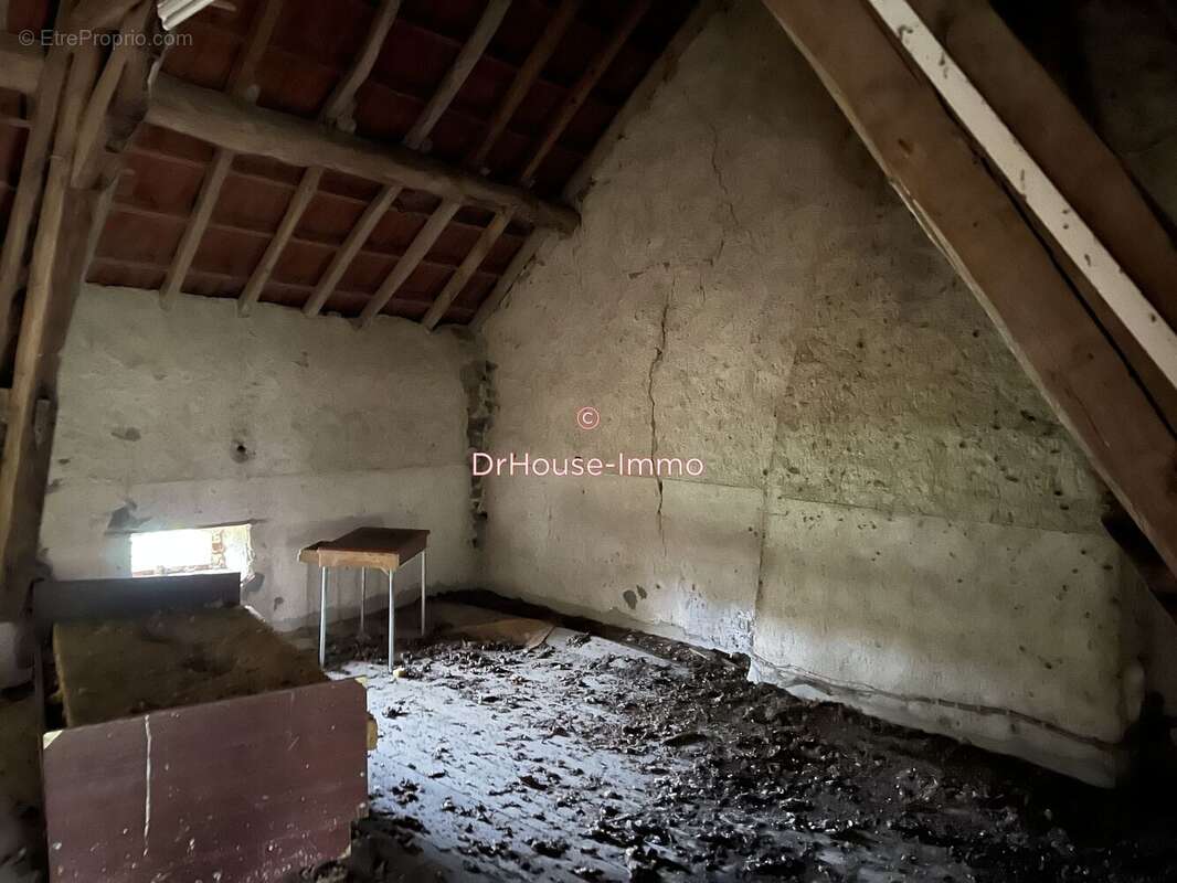 Maison à SAINT-PALAIS