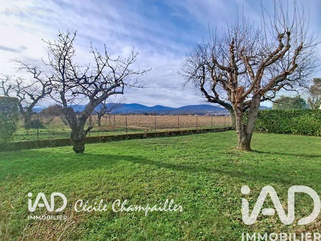 Photo 3 - Maison à SAINT-CLAIR-DU-RHONE