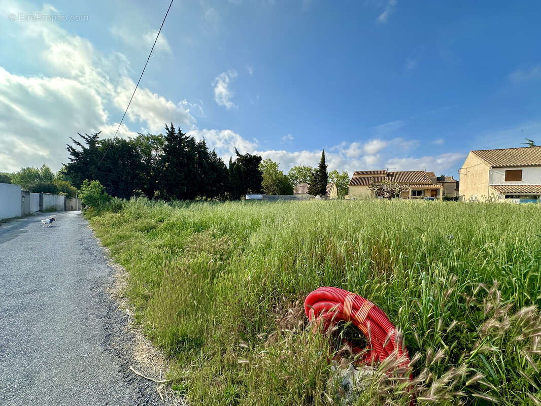 Terrain à SAINT-NAZAIRE-D&#039;AUDE