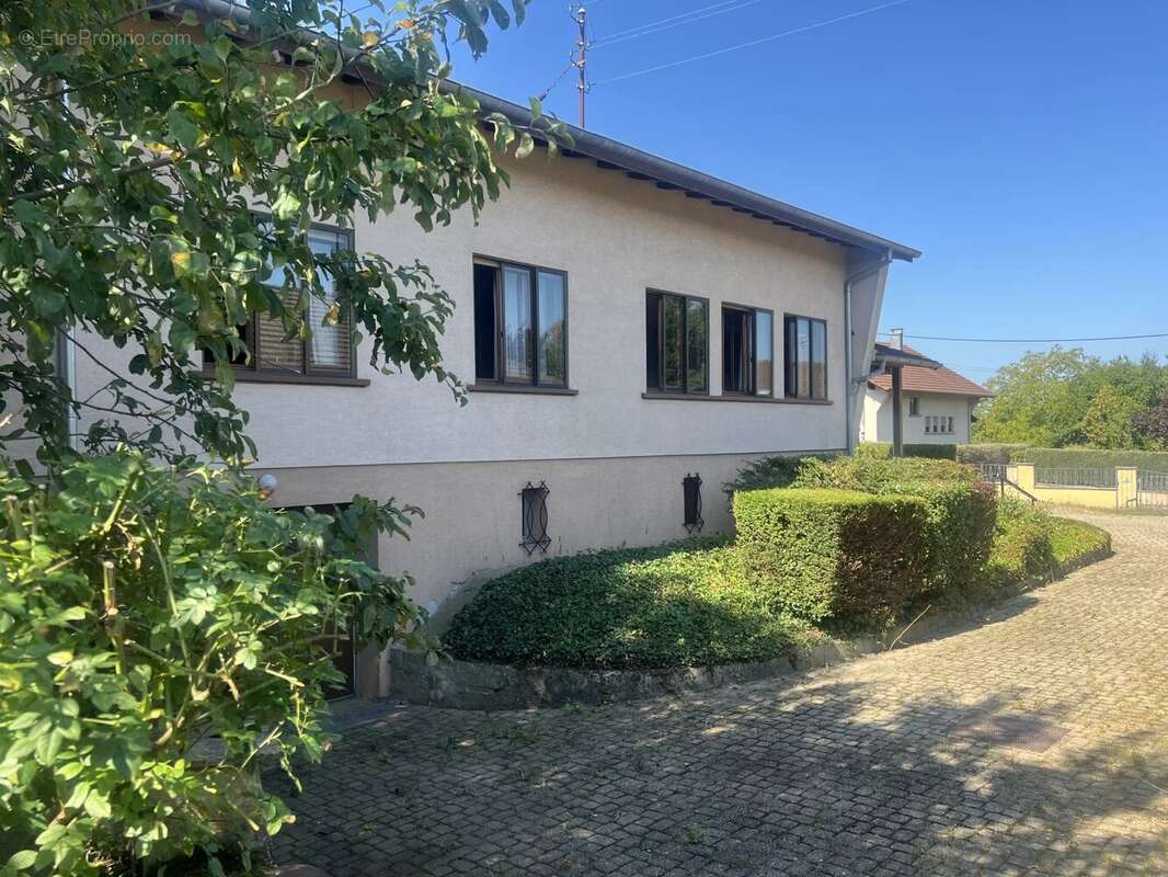 Maison 154 m² à Dannemarie  - photo 2