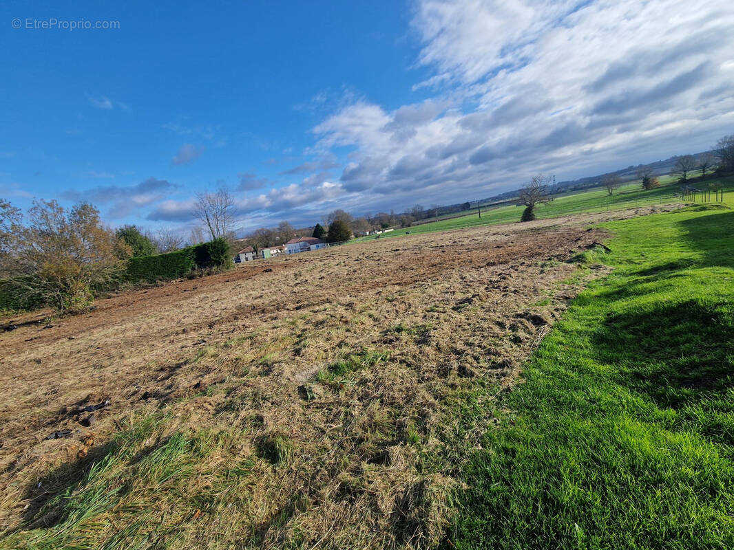 Terrain à SAINT-CIERS-DU-TAILLON