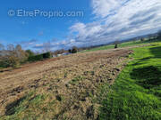 Terrain à SAINT-CIERS-DU-TAILLON