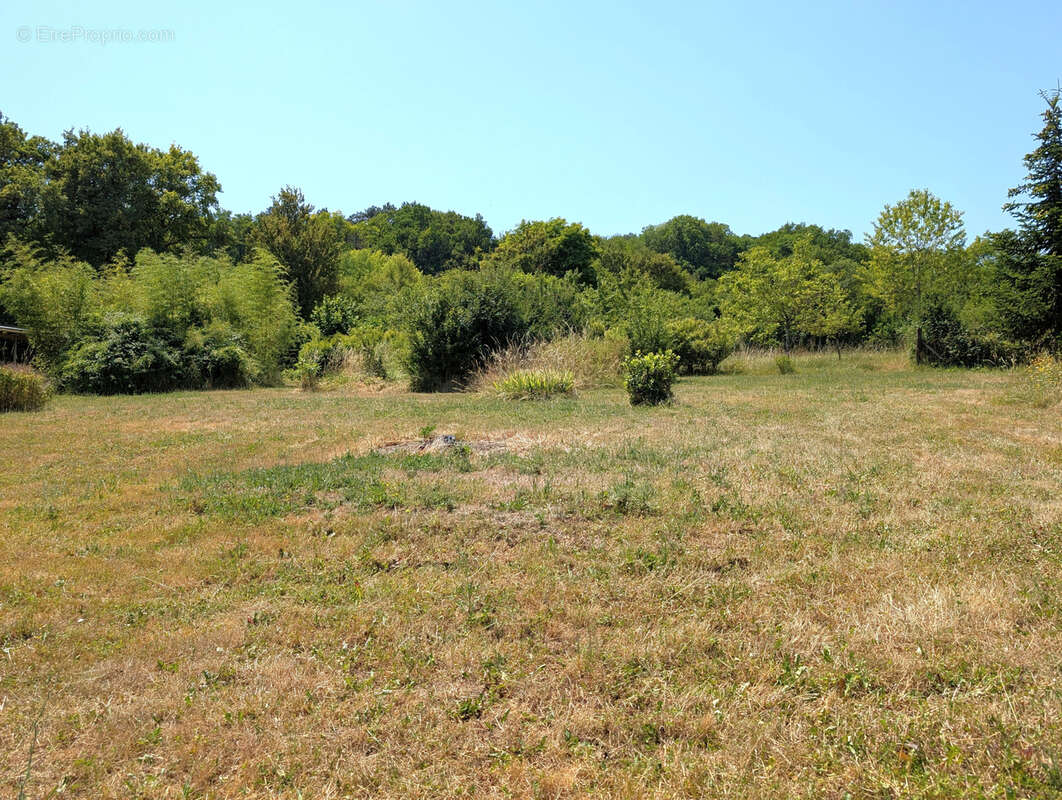 Sur la commune de St Aubin-Château-Neuf, maison de 157m2 habitable et jardin de 550m2 + 2600m2 en face - photo 15