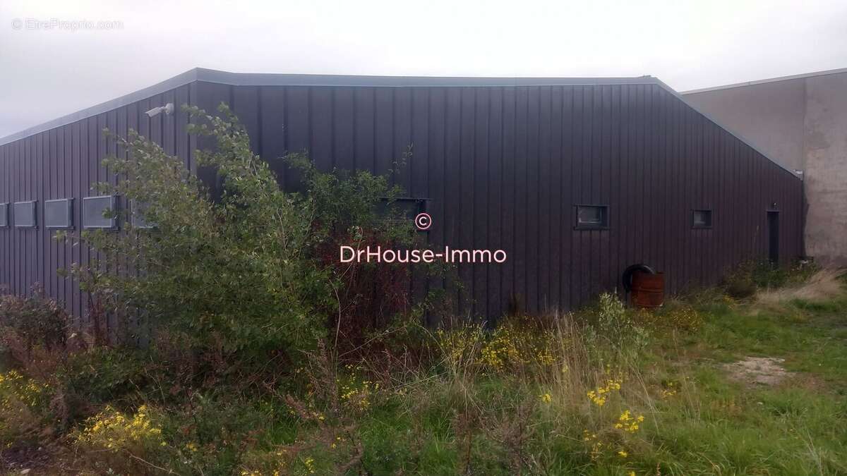 Commerce à CUSSAC-SUR-LOIRE