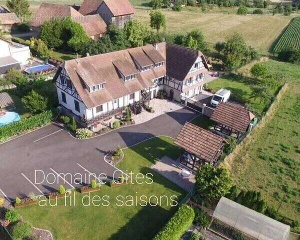 Près de Benfeld, Domaine de gîtes rénové – Fort potentiel touristique - photo 18