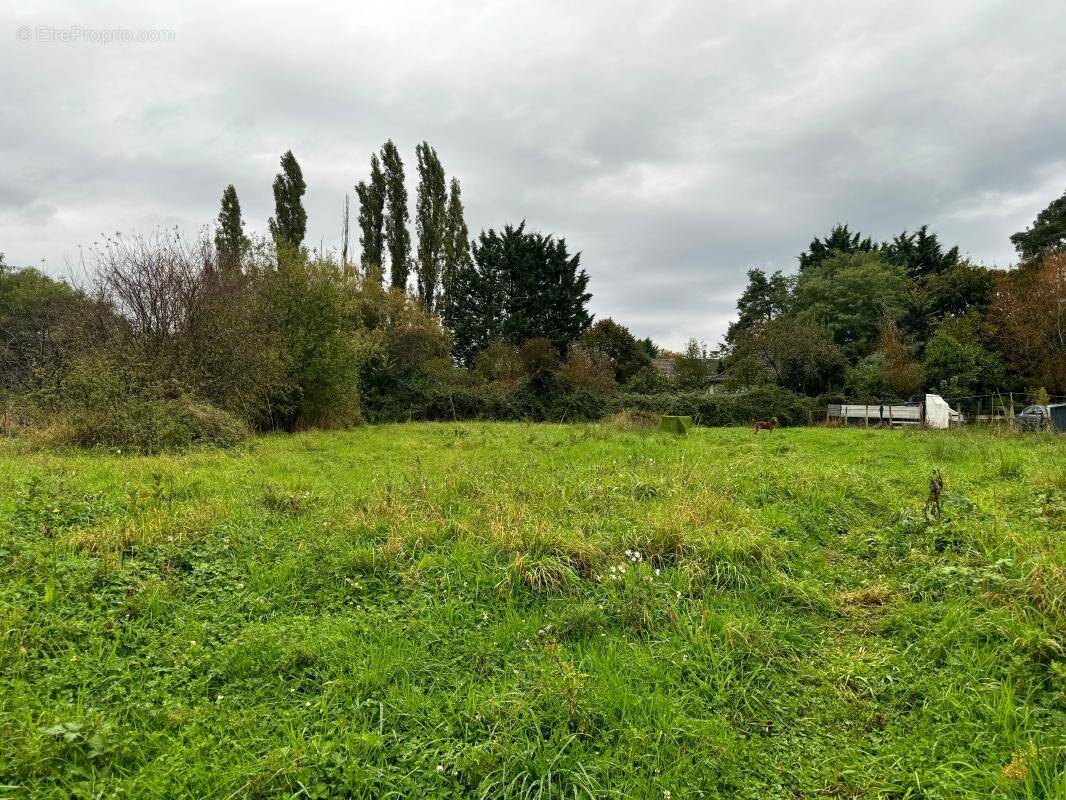 Terrain à SAINT-AMAND-MONTROND