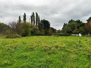 Terrain à SAINT-AMAND-MONTROND